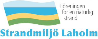 FSM-logotype